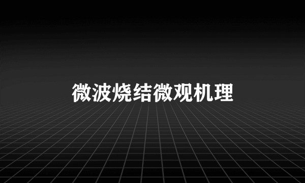 微波烧结微观机理