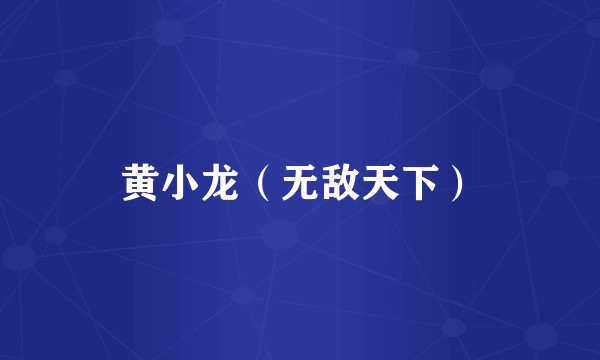 黄小龙（无敌天下）