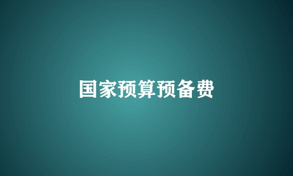 国家预算预备费