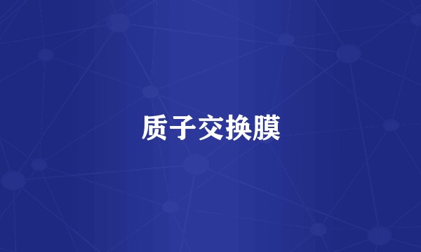 质子交换膜