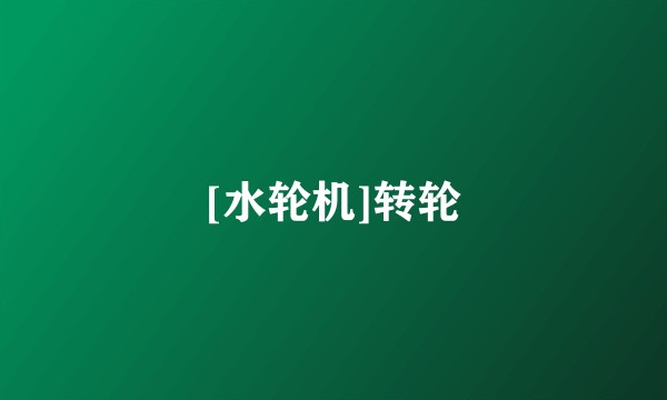 [水轮机]转轮