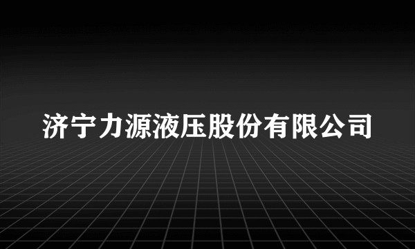 济宁力源液压股份有限公司