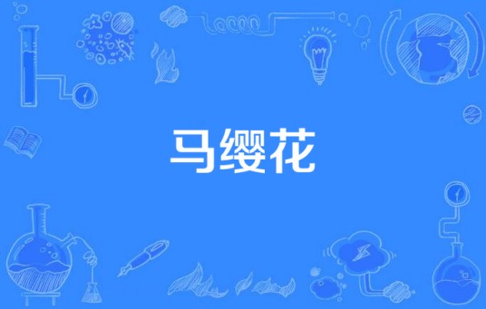 马缨花（2009年出品电视剧）
