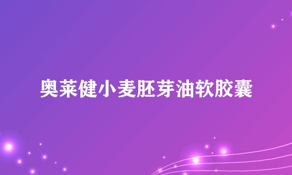 奥莱健小麦胚芽油软胶囊