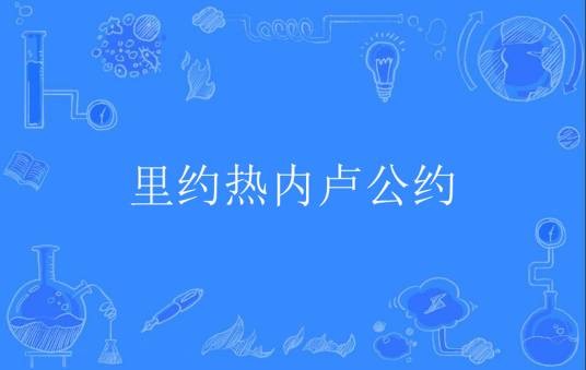里约热内卢公约
