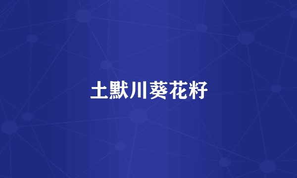 土默川葵花籽