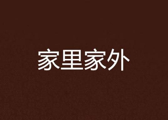 家里家外(2008年北岳文艺出版社出版的图书)
