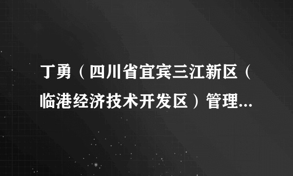 丁勇(四川省宜宾三江新区(临港经济技术开发区)管理委员会内设机构主要负责人)