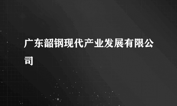 广东韶钢现代产业发展有限公司
