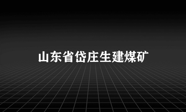 山东省岱庄生建煤矿