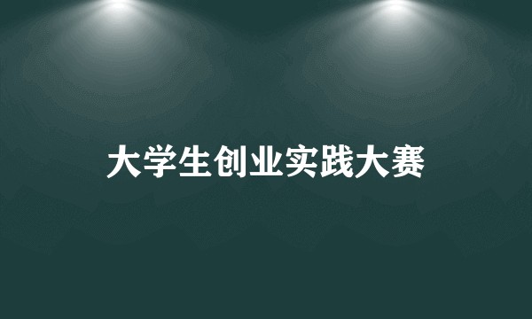 大学生创业实践大赛