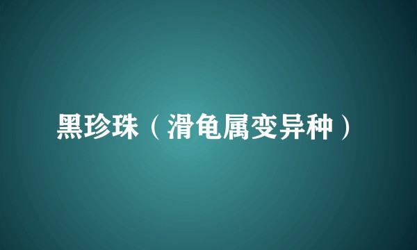 黑珍珠(滑龟属变异种)