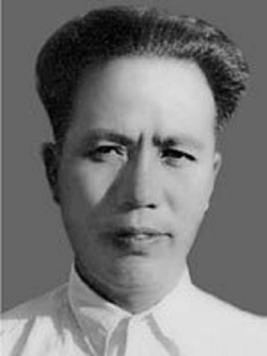 徐林(中南军政委员会财政部原部长)