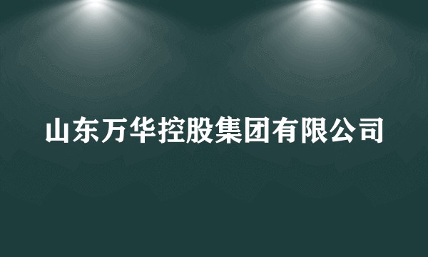 山东万华控股集团有限公司