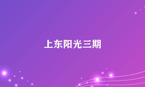 上东阳光三期