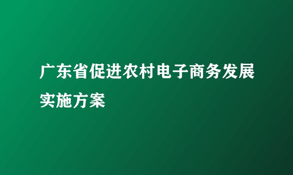 广东省促进农村电子商务发展实施方案