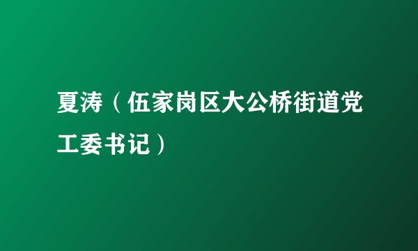 夏涛（伍家岗区大公桥街道党工委书记）