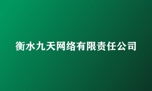 衡水九天网络有限责任公司