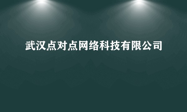 武汉点对点网络科技有限公司