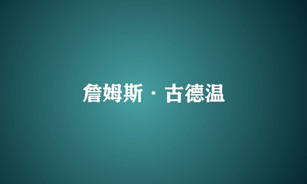 詹姆斯·古德温