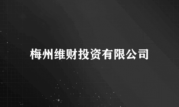梅州维财投资有限公司