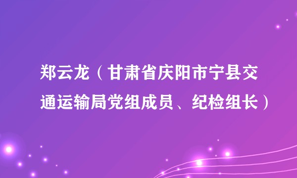 郑云龙(甘肃省庆阳市宁县交通运输局党组成员、纪检组长)