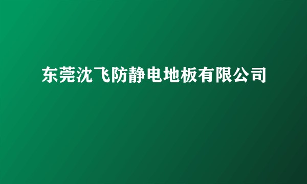 东莞沈飞防静电地板有限公司
