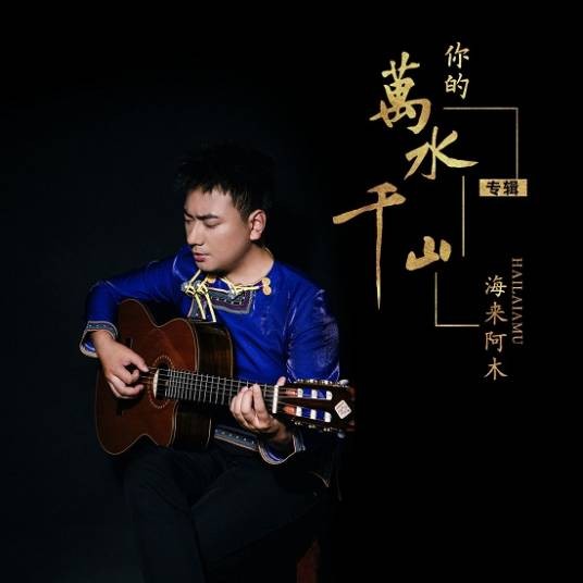 你的万水千山（2020年海来阿木演唱的歌曲）