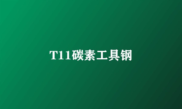 T11碳素工具钢
