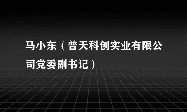 马小东(普天科创实业有限公司党委副书记)