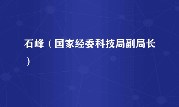 石峰（国家经委科技局副局长）