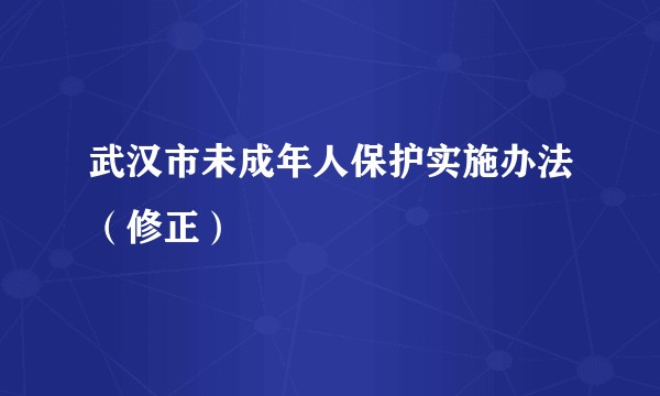武汉市未成年人保护实施办法(修正)