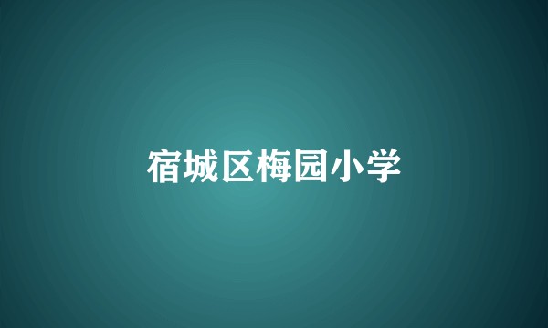 宿城区梅园小学