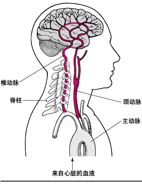 脑卒中防治