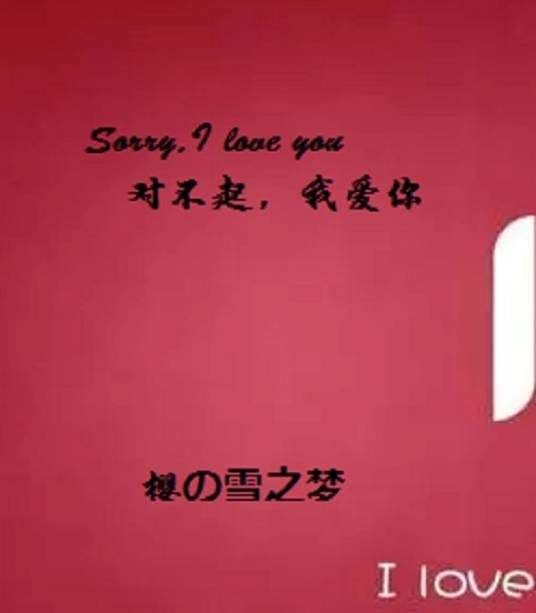 Sorry,I love you 对不起，我爱你