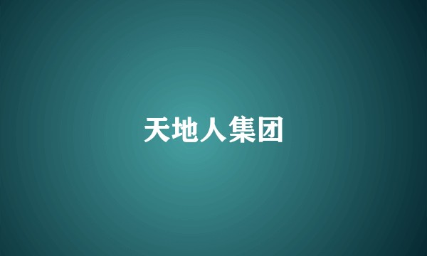 天地人集团