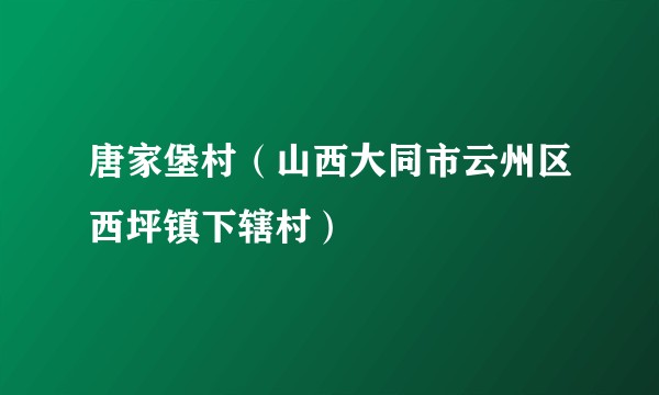 唐家堡村（山西大同市云州区西坪镇下辖村）