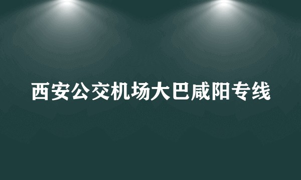 西安公交机场大巴咸阳专线