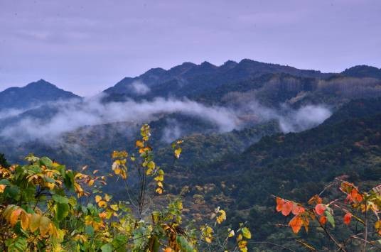 云雾山(宁夏山脉)