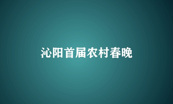 沁阳首届农村春晚