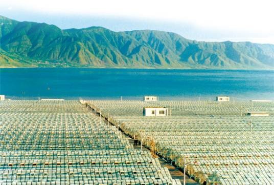 绿A基地