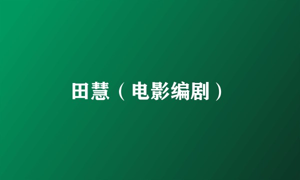 田慧（电影编剧）