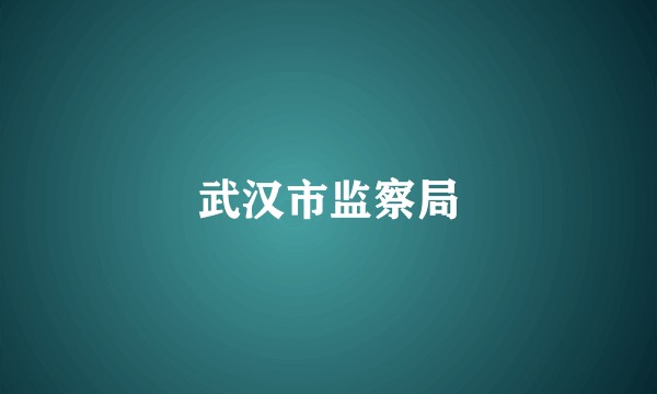 武汉市监察局