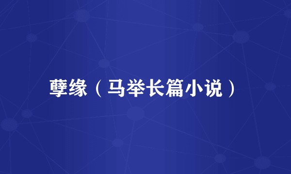孽缘（马举长篇小说）