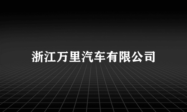 浙江万里汽车有限公司