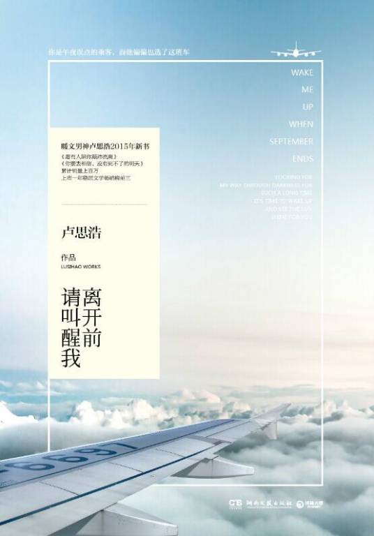 离开前请叫醒我(2015年湖南文艺出版社出版的图书)