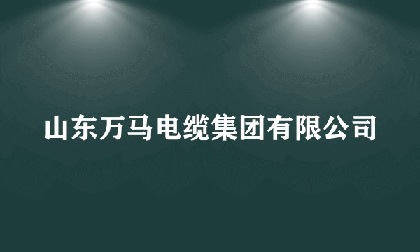 山东万马电缆集团有限公司