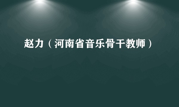 赵力(河南省音乐骨干教师)