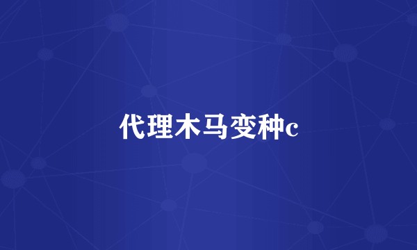 代理木马变种c