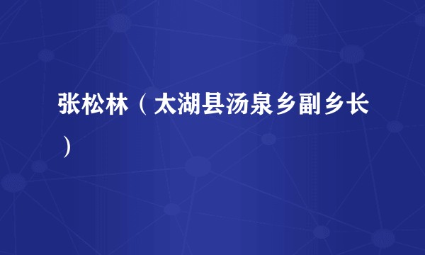 张松林（太湖县汤泉乡副乡长）